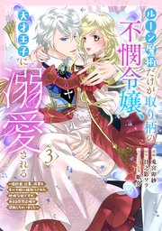 ルーン魔術だけが取り柄の不憫令嬢、天才王子に溺愛される ～婚約者、仕事、成果もすべて姉に横取りされた地味な妹ですが、ある日突然立場が逆転しちゃいました～（コミック） 3巻