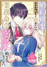 婚約破棄された王太子を慰めたら、業務命令のふりした溺愛が始まりました。【分冊版】（12）