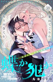 蝶か犯か ～極道様 溢れて溢れて泣かせたい～ 分冊版（38）