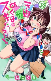 天野めぐみはスキだらけ！ 18