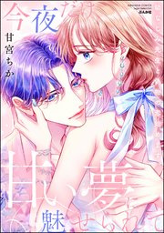 今夜だけ、甘い夢に魅せられて 幼なじみ先生と偽物の恋始めます。 表紙