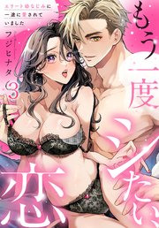 もう一度シたい、恋～エリート幼なじみに一途に愛されていました～(3)