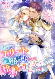 外国出身エリート魔法剣士からの執着がすごいです