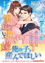 極上パイロットの懐妊花嫁～一夜限りのはずが、過保護な独占愛に捕らわれました～
