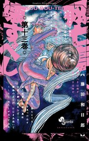 双亡亭壊すべし 13
