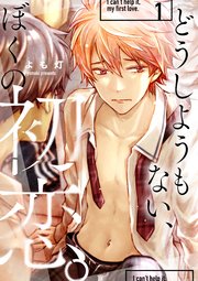 どうしようもない、ぼくの初恋。