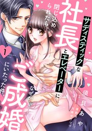 サディスティックな社長とエレベーターに閉じ込められたら、なぜかご成婚にいたった件。