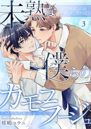 未熟な僕らのカモフラージュ 3巻