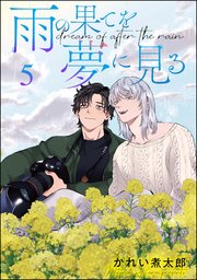 雨の果てを夢に見る（分冊版） 【第5話】