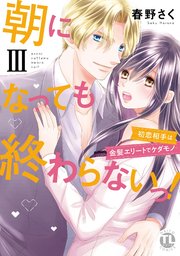 朝になっても終わらないっ！【単行本版】III～初恋相手は金髪エリートでケダモノ～