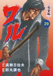 ワル【完全版】 29