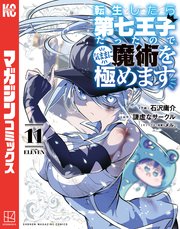 転生したら第七王子だったので、気ままに魔術を極めます（11）