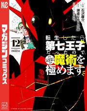 転生したら第七王子だったので、気ままに魔術を極めます（12）