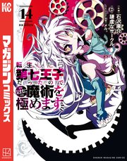 転生したら第七王子だったので、気ままに魔術を極めます（14）