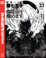 転生したら第七王子だったので、気ままに魔術を極めます（２３）