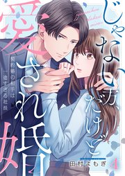 じゃない方、だけど愛され婚～契約婚の相手は一途すぎる社長（4）