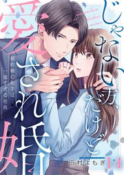 じゃない方、だけど愛され婚～契約婚の相手は一途すぎる社長（14）