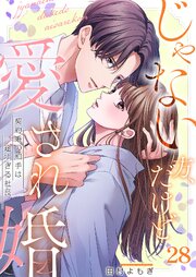 じゃない方、だけど愛され婚～契約婚の相手は一途すぎる社長（28）