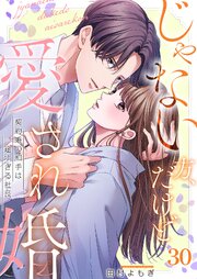 じゃない方、だけど愛され婚～契約婚の相手は一途すぎる社長（30）