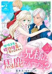 【単話版】お兄様は馬鹿なんですか？～地味王女は婚約破棄に巻き込まれる～（2）崖っぷち令嬢ですが、意地と策略で幸せになります！シリーズ