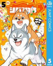 シバつき物件 5