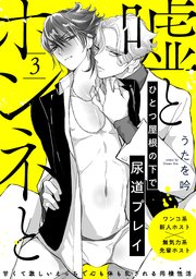 嘘とホンネと 3巻