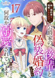 妹に婚約者を略奪されたので、公爵家の後輩と偽装婚約したら何故か溺愛されています。（17）