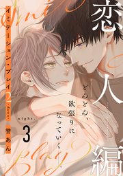 イミテーション・プレイ2 -dawn-(3)