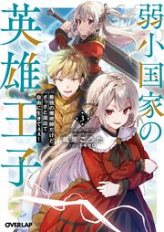 弱小国家の英雄王子 3 ～最強の魔術師だけど、さっさと国出て自由に生きてぇぇ！～
