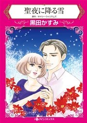 聖夜に降る雪