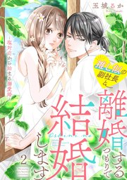 推し似の副社長と離婚するつもりで結婚します～塩対応から始まる溺愛婚～（2）