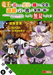 竜王に拾われて魔法を極めた少年、追放を言い渡した家族の前でうっかり無双してしまう～兄上たちが僕の仲間を攻撃するなら、徹底的にやり返します～（コミック） 分冊版 ： 9