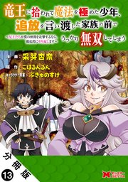 竜王に拾われて魔法を極めた少年、追放を言い渡した家族の前でうっかり無双してしまう～兄上たちが僕の仲間を攻撃するなら、徹底的にやり返します～（コミック） 分冊版 ： 13