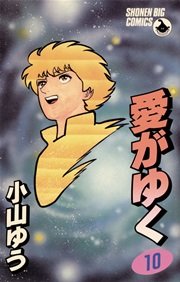 愛がゆく 10