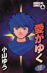 愛がゆく 12