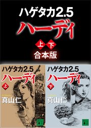 ハゲタカ2．5 ハーディ 上下合本版