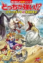 どっちが強い！？　コブハクチョウvsオオカモメ　水鳥のパワフル空中対決