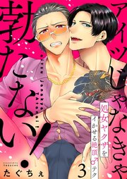 アイツじゃなきゃ勃たない!～処女ヤクザをイかせる絶頂♂テク 3巻