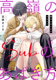 高嶺のSubのあばき方～君の心をとかすコマンド～14