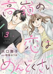 高嶺の恋はめんどくさい【合冊版】【書き下ろし特典付き】3