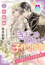 きまじめ竜騎士の子作り指南②
