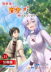 異世界で『賢者……の石』と呼ばれています【分冊版】（ポルカコミックス）11