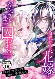身代わりの花嫁はヤンデレ領主に囚われる 分冊版（18）