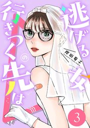 逃げる女の行きつく先は 3巻