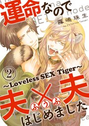 運命なので夫×夫はじめました 2～Loveless SEX Tiger～
