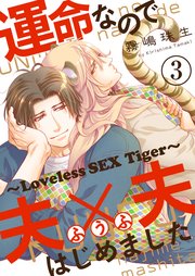 運命なので夫×夫はじめました 3～Loveless SEX Tiger～