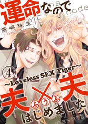 運命なので夫×夫はじめました　４～Loveless SEX Tiger～
