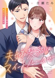 夫婦契約はスイートルームで～ムカつく御曹司と蜜月ホテル経営（３）