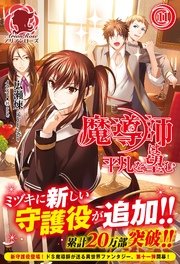 魔導師は平凡を望む　11