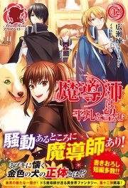 魔導師は平凡を望む　12